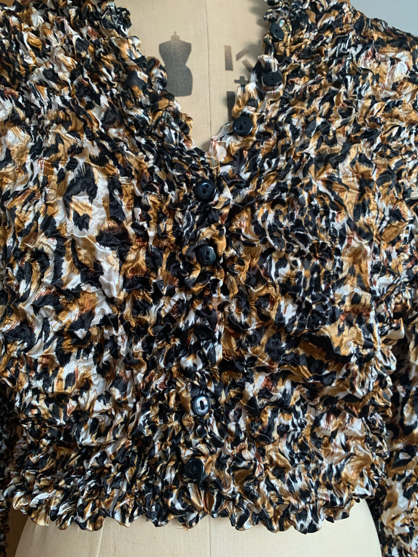 2 The French Finds Collection: 90’s Leopard Print Crinkle Popcorn Top